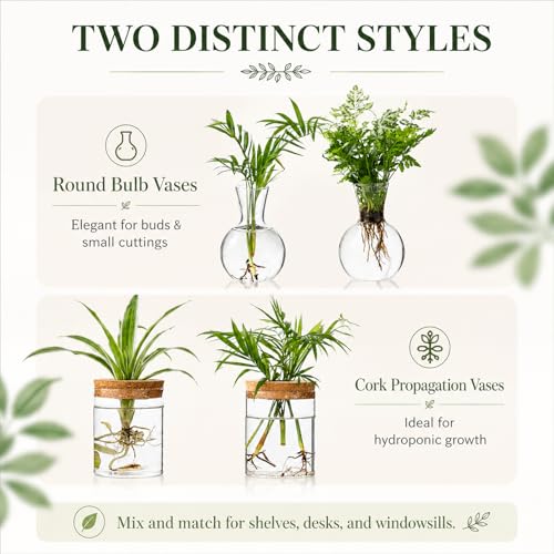 Plant Propagation Stations, 2 Style Glass Planter Terrariums, Propagation Vases for Plant, Plant Propagation Jars for Hydroponic Planter Home Office Tabletop Decoration (4)