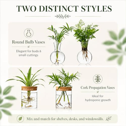 Plant Propagation Stations, 2 Style Glass Planter Terrariums, Propagation Vases for Plant, Plant Propagation Jars for Hydroponic Planter Home Office Tabletop Decoration (4)