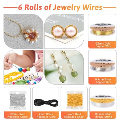 Giwaelro Jewelry Making Kit for Adults, Jewelry Making Supplies with Pliers, Wires, Findings, Necklace Chains, Magnifier and Storage Bag - color: Black