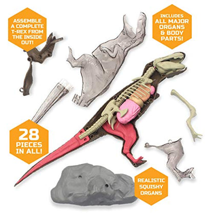 Discovery™ 4D T-Rex Anatomy Kit, Jurassic Dinosaur Puzzle Figure, Interactive Archaeology & Paleontology Model, Learn Science & Biology, Fun & Educational STEM Toy Gift for Kids Ages 6+