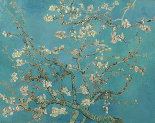 VeGuude Flower Diamond Art Kits for Adults Van Gogh Diamond Painting Kits - color: DP02870