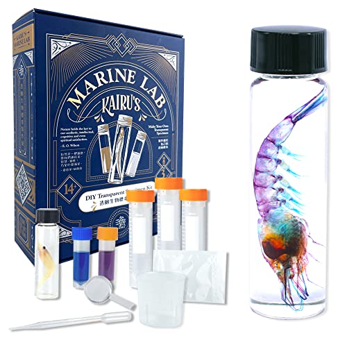 DIY Transparent Specimen Kit, Shrimp - style: DIY Kit, Shrimp