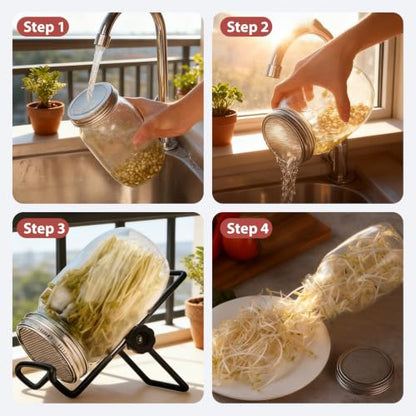 Stainless Steel Sprouting Jar Lids Kit 6 Pack,Black - color: Black stand