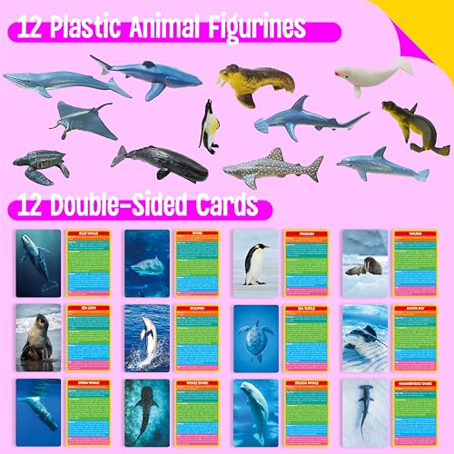 12 PCS Plastic Marine Animal Figurines with 12 Introduction Flashcards, Ocean Animals Learning Recognition Cards Realistic Undersea Animal Figures Educational Learning Toy Set for Kids, Classroom - style: Marine Animal Set (including cards)