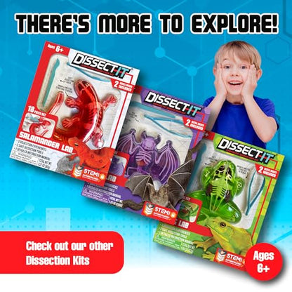 Top Secret Toys Dissect-It Mini Labs Piranha Lab Dissection Kit for Kids, Realistic Synthetic Kids Science Kit - On, Biology and Animal Anatomy, STEM Toy, Ages 6+ - style: Mini Piranha