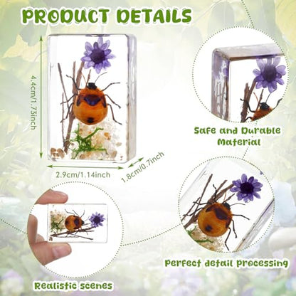 Macarrie 12 Pcs Insect Specimens for Kids Bug Collection Kit, Scenery - style: Scenery