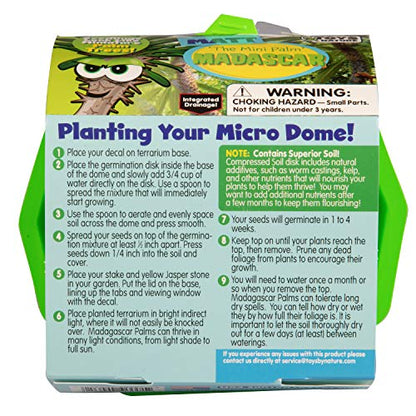 Toys By Nature Character Micro Domes Palm Plant Terrarium Starter Kit, Decorative and Easy-to-Grow Mini Terrariums with Complete Supplies and Genuine Jasper Stone! (Matt The Madagascar Mini Palm)