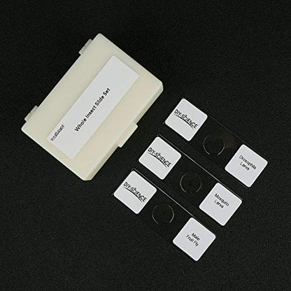 Prepared Whole Insects Microscope Slides Set, 10pcs Specimens for Kids Students Biology Class, Educational Gift (Whole Insects) - style: Whole Insects