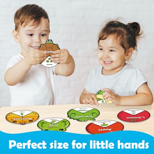 Kasfalci Life Cycle Toys for Kids,Back to School Supplies,Animal Plant Insect Bug Ladybug Butterfly Tadpole to Frog Kit,Montessori Learning & Education Toys,Preschool Science Learning Activities - style: Life Cycle