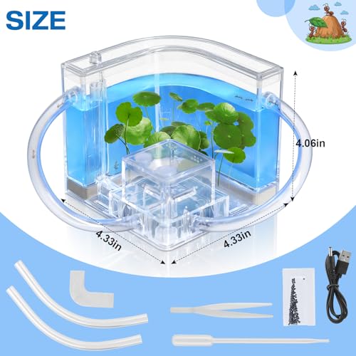 Ant Nest, Ant Habitat Kit