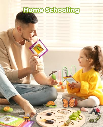 JoyCat Life Cycle Toys for Kids, 7 Animal and Plant Sets with Cards