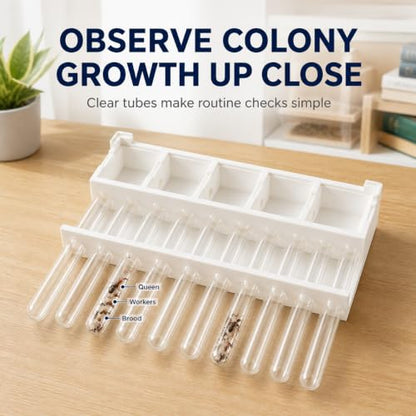 Stackable Ant Farm Formicarium with 10 Test Tubes, White Plastic Base, 5 Compartments, 15mm/18mm Tube Options (15 mm Test Tubes) - size: 15 mm test tubes