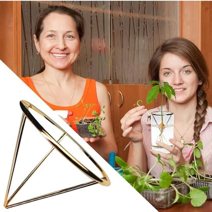 Avocado Starter Rack - Triangular Root Germination Bracket | Avocado Root Propagation Rack,for Home Landscape Garden Living Room Bedroom Balcony Backyard Patio Greenhouse - color: Gold