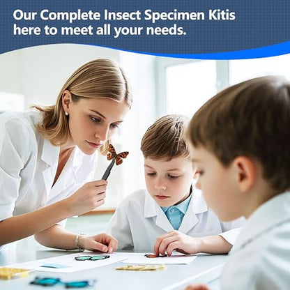 Insect Specimen Tools Kit - EVA Foam Pinning Board, Coordinate Paper, Wings Pressing Paper, Insect Pins & Butterfly Pins, Entomology Kit for Beginners & Hobbyists (PVC Display Case) - size: PVC Display Case Box Kit