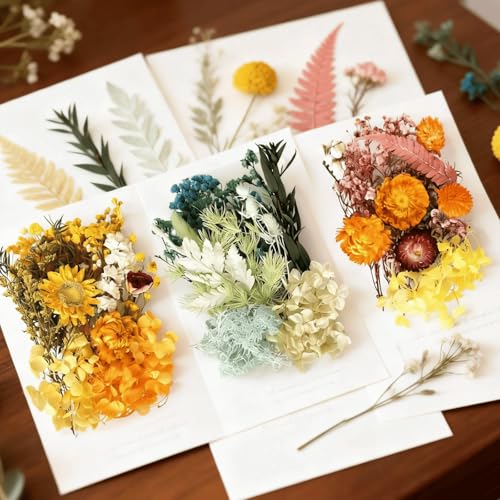 2PCS Dried Flowers Kit, Natural Dried Flowers Kit for DIY Crafts, Scrapbook, Card Making (Style18_24_27) - color: Style18_24_27