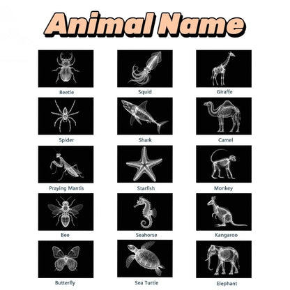 Animal X-ray Educational Set 15 Pieces for Light Table Science Learning