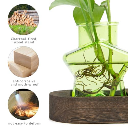 XXXFLOWER Plant Propagation Station with Wooden Stand 3 Green Star Jars - color: Green