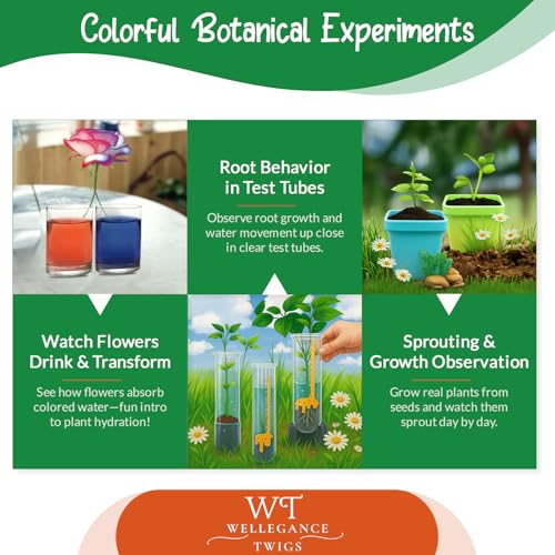 Plant Growing Science Kit for Kids - 19 Botany Experiments with Hydroponic Growing, Root Science & Transpiration - STEM Gardening Gift for Boys & Girls - Birthday Gift Ages 8, 9, 10, 11, 12