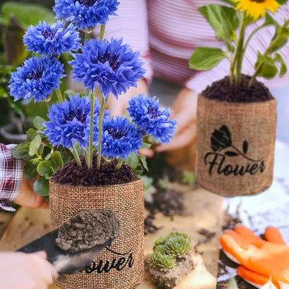 Indoor Daisy Garden Starter Kit, 4 Flower Seeds Growing into Shasta Daisy, Cornflower, Sunflower, Zinnia, Including Complete Gardening Tools for Women Men & Beginners