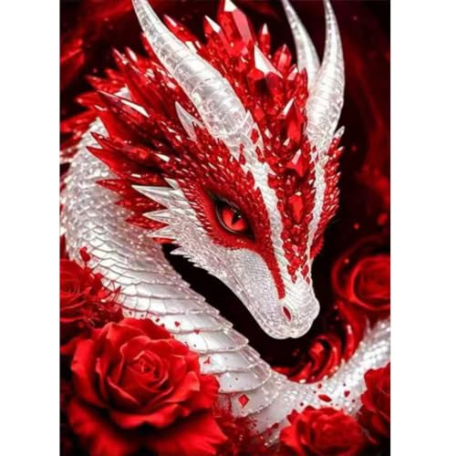 5D Diamond Painting Kits for Adults,Dragon Diamond Art Kits 12 x 16 inch - color: SH189