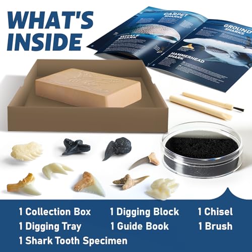 EGGBOX Shark Tooth Dig Kit Excavate 8 Shark Fossils Including Great White, Angel, Bullhead, Longnose, Sand Tiger Shark and so on. Great Science Gift for Marine Biology Enthusiasts of Any Age