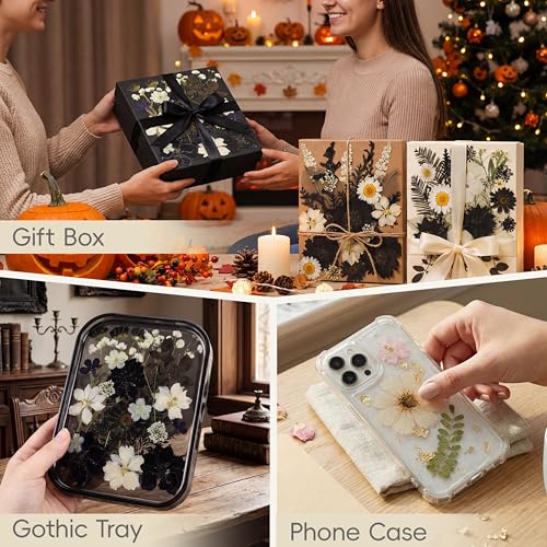 LUXEEASE 90P Halloween Black & White Dried Pressed Flowers - color: Black & White Halloween Style 90p
