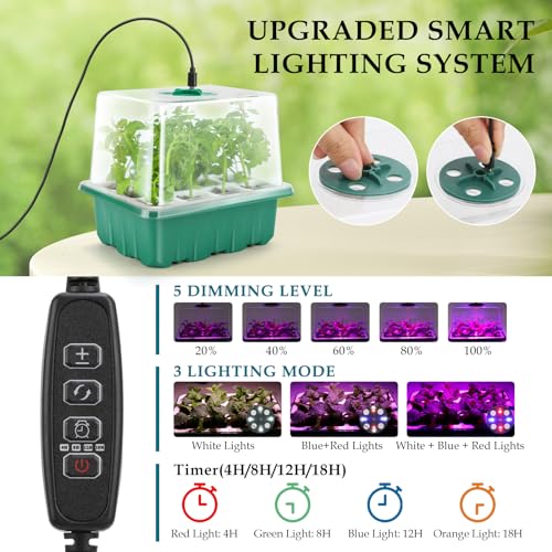 Seed Starter Tray with Grow Light, 60 Flexible Cells 5 PCS Seed Starter Kit, Reusable Seedling Starter Trays with Humidity Dome and High Lid, Germination Trays for Indoor Greenhouse Seed Starter - color: Blue-5 Pack With Light