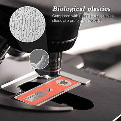 Prepared Microscope Slides, 48pcs Plastic Animals Insects Plants Flowers Sample Specimens - color: 48pcs