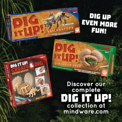 MindWare Dig It up Tyrannosaurus Rex Fossil Excavation Kit – Dinosaur Stem Toy for Kids – Includes Fossil Block, Hammer, Chisels, Brush, & Sponge
