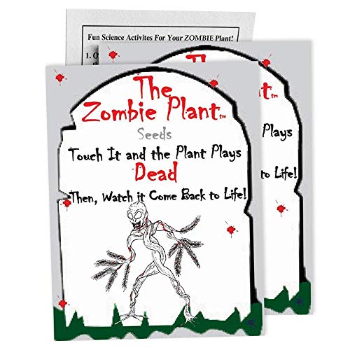 Zombie Plant Party Favors (2) with 2 Extra Zombie Plant Seed Packets to Grow Your own Zombie Plants Indoors!