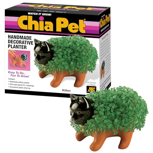 Chia Pet Kitten with Seed Pack, Decorative Pottery Planter, Easy to Do and Fun to Grow, Novelty Gift, Perfect for Any Occasion - style: Kitten