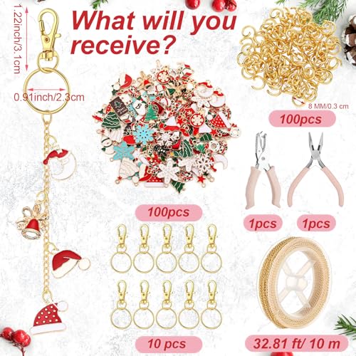VioraWhite 213 Pcs Christmas Theme Lip Gloss Keychain Making Kit 100 Pink Enamel Charms 32.81 ft Gold Chains for DIY Crafts Women - style: Christmas Theme