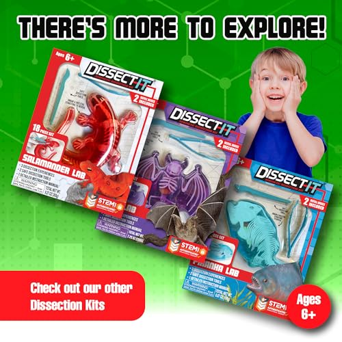 Top Secret Toys Dissect-It Mini Labs Frog Dissection Kit for Kids, Realistic Synthetic Kids Science Kit - On, Biology and Animal Anatomy, STEM Toy, Ages 6+ - style: Mini Frog