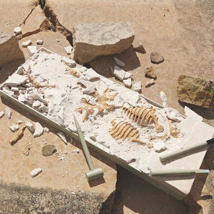 Dig It Up! T‑Rex Excavation Kit – 3D Dinosaur Skeleton STEM Toy