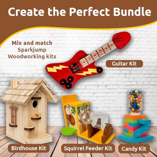 Sparkjump Modern Birdhouse Woodworking Kit
