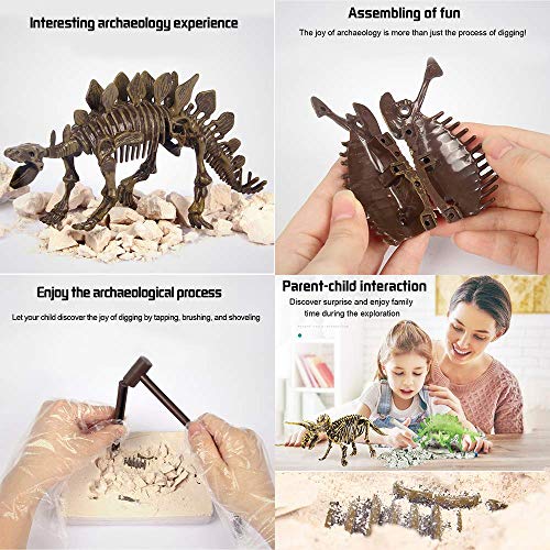 Dig & Discover Dino Stegosaurus Dinosaur Skeleton 3D Fossil Bones Excavation, Science Educational Toy Kit for Kids, Children - color: Stegosaurus