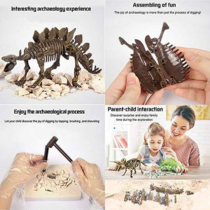 Dig & Discover Dino Stegosaurus Dinosaur Skeleton 3D Fossil Bones Excavation, Science Educational Toy Kit for Kids, Children - color: Stegosaurus