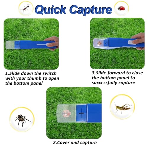 2 Pcs DelloidMaz Insect Catcher Small Animals Catcher Nature Exploration Tool to Capture Butterflies Bees Ladybugs Spiders Bug Catcher for Boys and Girls, Blue and Yellow (2)