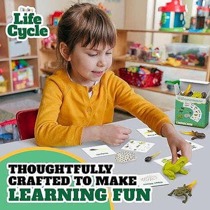 Life Cycle Kit Montessori - Realistic Figurine Toys, Animal Matching Game Frog Animals, Easter Basket Stuffers for Kids, Science Fun for Learning Education Toys - style: Life Cycle - Frog
