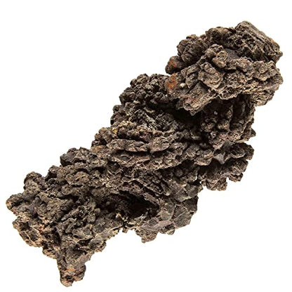 KALIFANO Authentic Prehistoric Dinosaur Coprolite Feces Trace Fossil - Fossilized Dinosaur Dung Poop Coprolite from Madagascar (Information Card Included) - color: Coprolite Feces Trace