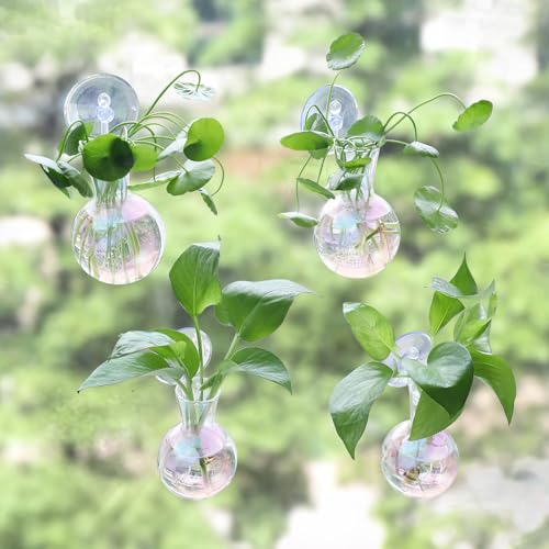 Bunmery 4 pcs Iridescent Window Propagation Stations, Easy to Install Plant Propagation Bulbs with Suckion Cups, No Nails Wall Hanging Planter Propagation Station, Glass Plant Terrarium Vase - color: Iridescent Bulb, size: 4 PCS