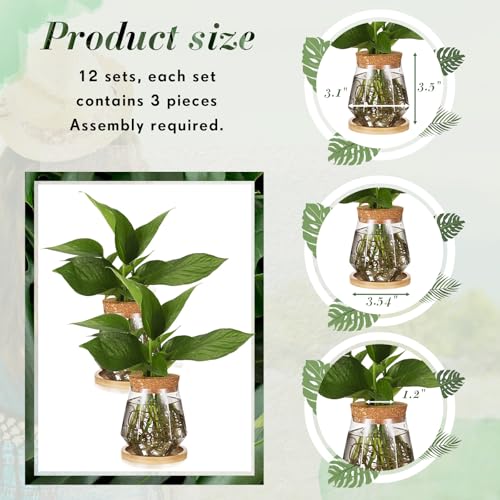 Baderke 12 Pack Propagation Vases for Plants, Cup Style - color: Transparent