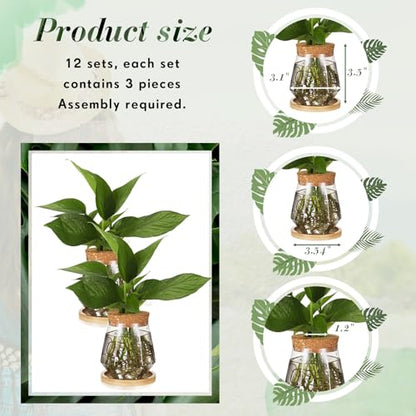Baderke 12 Pack Propagation Vases for Plants, Cup Style - color: Transparent