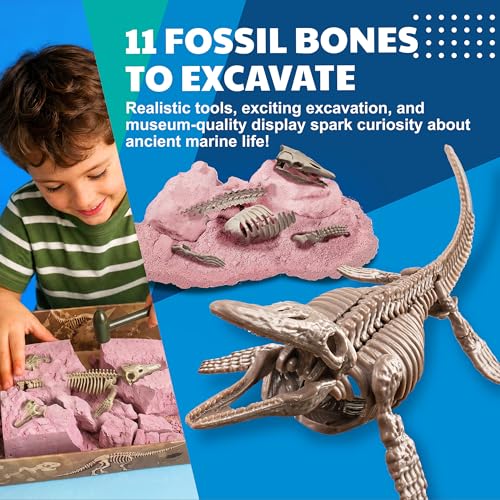 4M Dig a Mosasaurus Skeleton Kit for Kids Ages 8-12 – 11 Realistic Bones, STEM Fossil Excavation Set with Hammer, Chisel & Brush, Marine Reptile Digging Kit, Educational Paleontology Gift