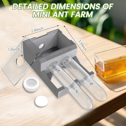 Transparent Mini Ant Farm with Dual Test Tubes for Thriving Ant Colony Observation (Gray) - color: Gray