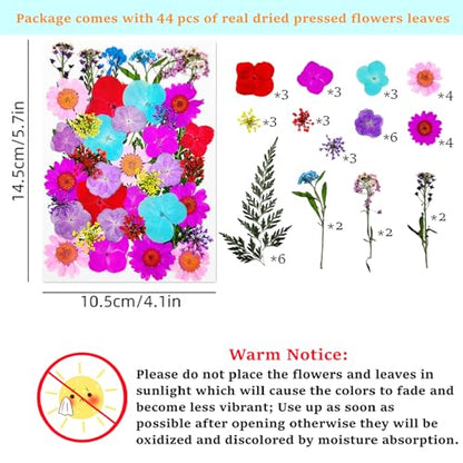 Cardstock Blank Bookmarks Set, 12 Pcs DIY White Craft Bookmarks for Pressed Flowers, Dried Floral Book Mark Making Kit with Pressed Flowers, Tassels, Book Marks for Dried Floral (Elegant Style) - style: Elegant Style