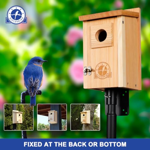 SISTERBIRD 2 Pack Blue Bird Houses for Outdoors, Warming Gifts Bird House - color: Burly Wood -- 2PK