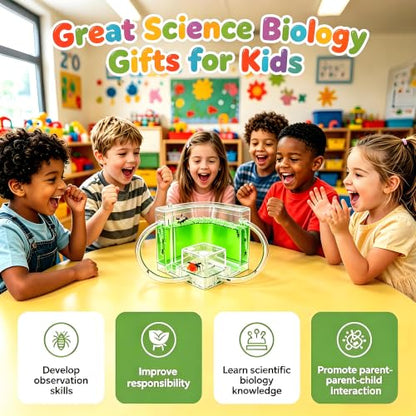 EXBEPE Ant Farm for Kids Safety and Environment Gel Ant Colony Ecosystem Terrarium, Ant Habitat Science Learning Kit(with No Ant)… - color: Green