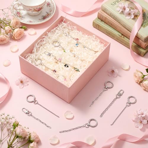 24 Pcs Keychain Making Kit Keychain Charms Making Kit Swivel Hook Lobster Claw Clasps Extender Chain for DIY Craft Lip Gloss Jewelry Keychains Bags Accessories Gift (Silver) - color: Silver