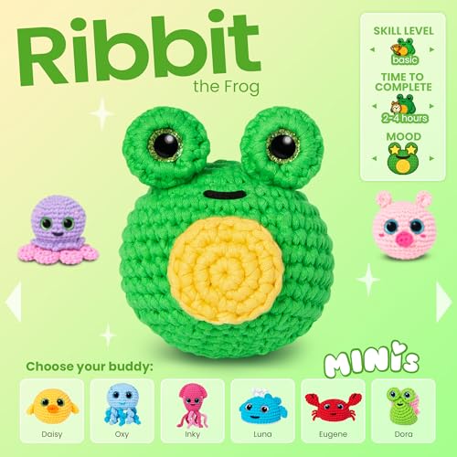 Cookie Box Crochet Kit for Beginners, Frog Mr. Ribbit - color: Green and Yellow